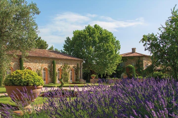 Provence Wine Tour - Private Day Tour from Cannes