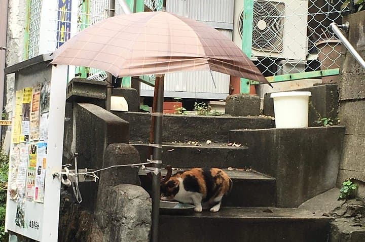 KOBE, SHIOYA, a quaint fishing town walking tour