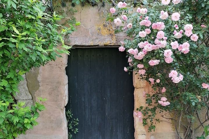 Private Full Day Tour Villages of the Luberon from Avignon