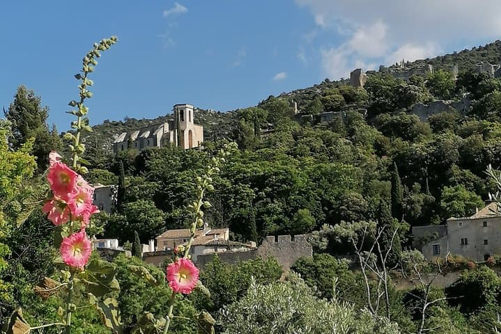Private Full Day Tour Villages of the Luberon from Avignon