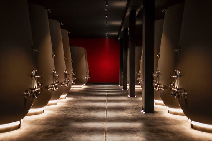 Verona area: Wine Tasting Experience in Valpolicella