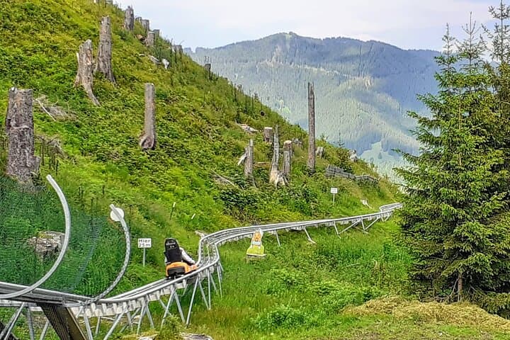 MY*GUiDE EXCLUSiVE Neuschwanstein Castle Tour INCL. TiCKETS and ALPiNE COASTER from Munich