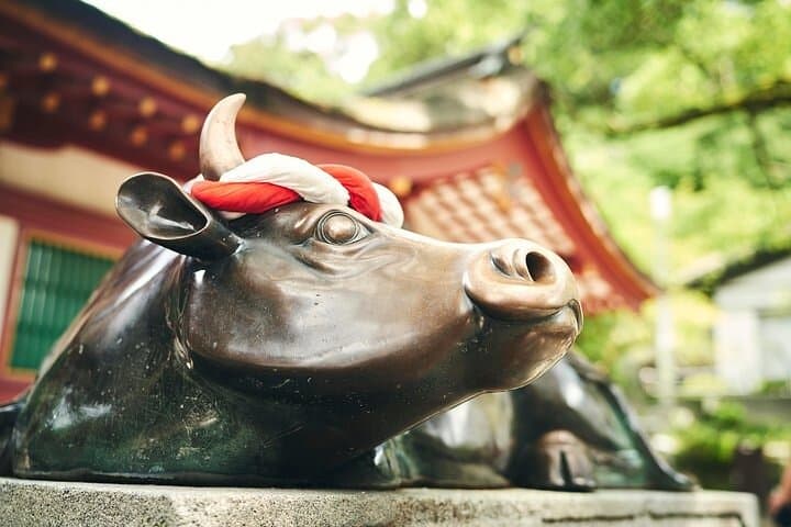Dazaifu and Yanagawa Canal Cruise Private Guide Day Tour by Train