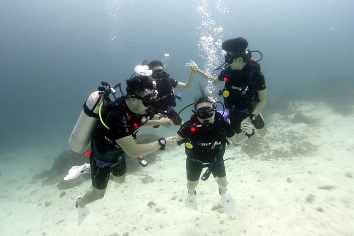 Discover Scuba Diving 3 Dives Racha Islands