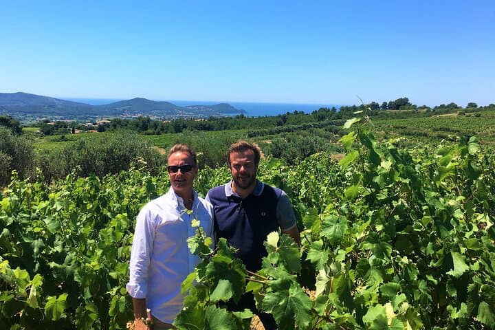 Wine education in the heart of the vineyards