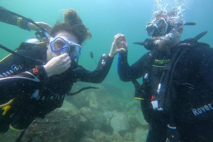 Discover Scuba Diving in Fujirah Dibba