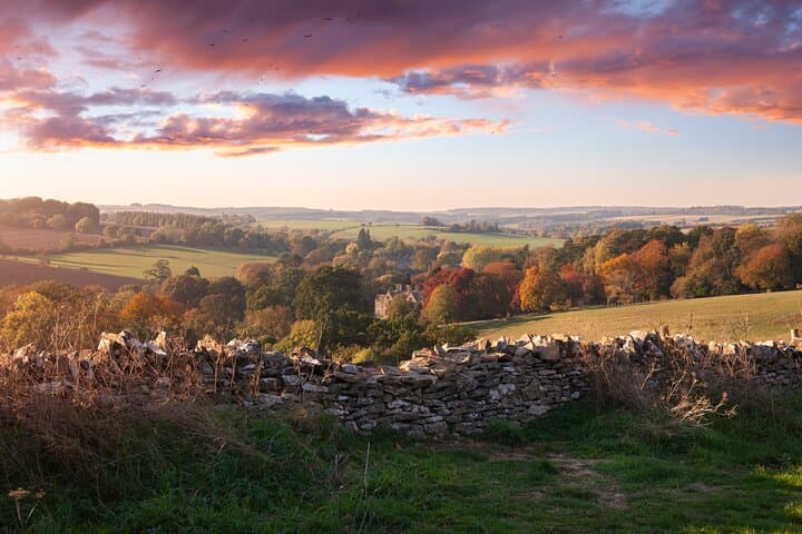 Landscape view