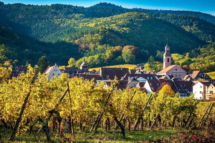 From the first stop until the end of the day, we will drive along the Alsatian wine routes, in the middle of the vine at the foot of the Vosges mountain.