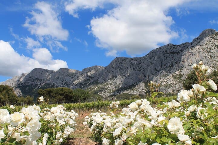 Private Full Day Wine Tour in Provence From Marseille cruise port