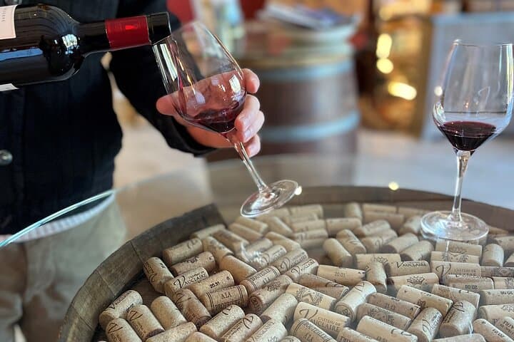 Private Full Day Wine Tour in Provence From Marseille cruise port