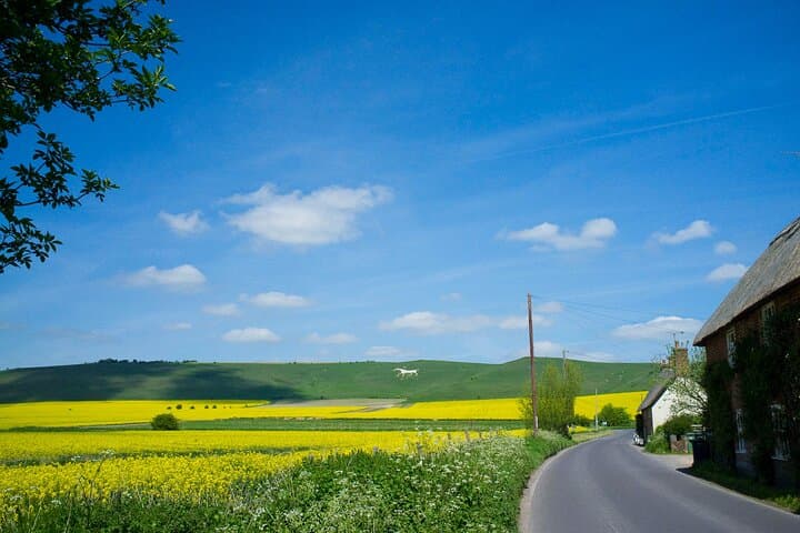 Alton Barnes White Horse in the Pewsey Vale