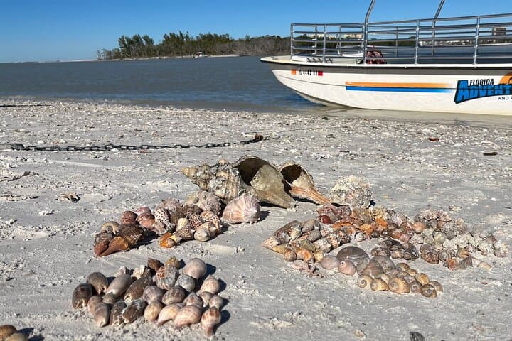 Kice Island low tide Shelling