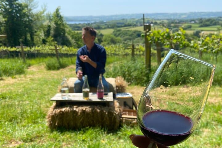 Wine & Cheese in the Somerset Valleys - with Michelin-star lunch!