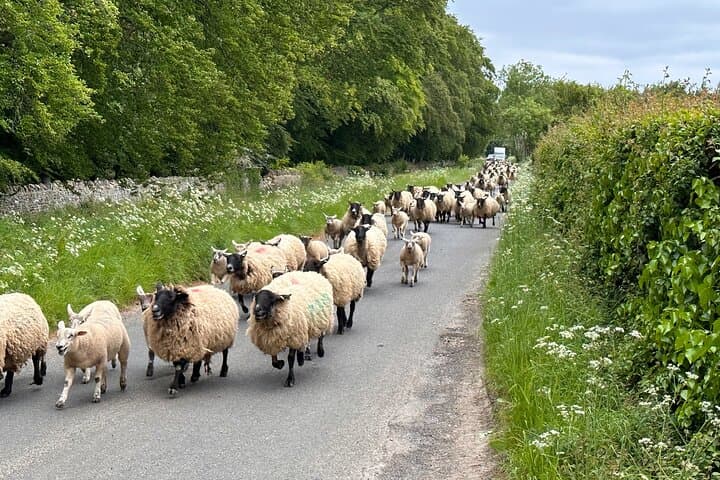 Rush hour!