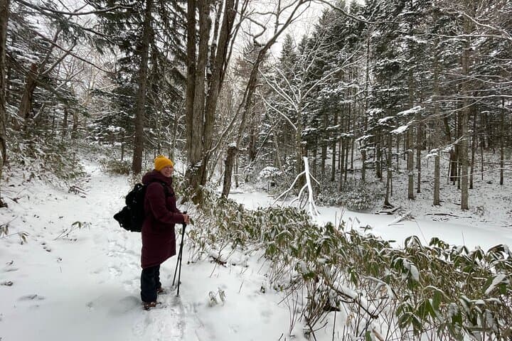 Snowshoeing and Onsen Adventures in a Winter Wonderland -Sapporo.