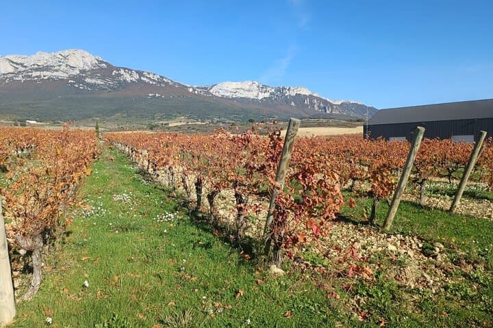 Full Rioja Wine Tour with Lunch from Bilbao - Private Tour