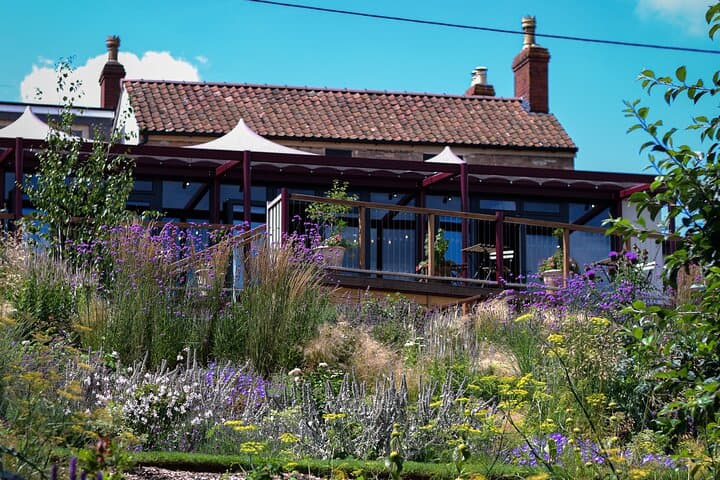 Wine & Cheese in the Somerset Valleys - with Michelin-star lunch!