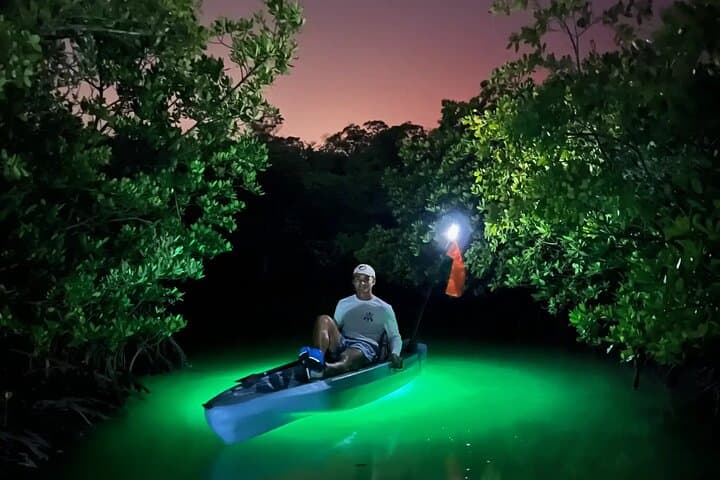 Experience the nocturnal glow of the mangroves! Our Hobie's come equipped with powerful LED fish lights that will illuminate your path through the enigmatic wonders of SWFL nocturnal ecosystems!