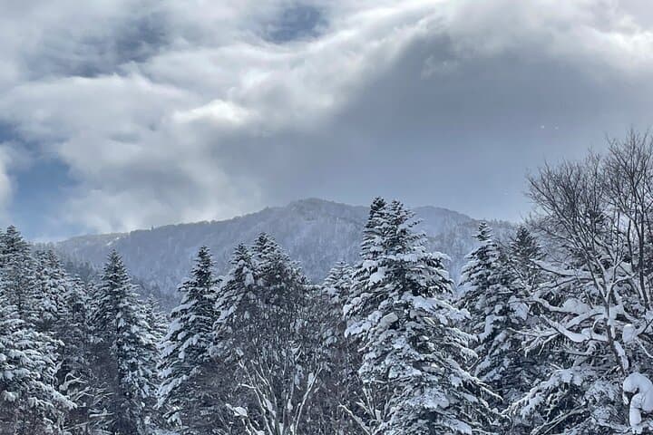 Snowshoeing and Onsen Adventures in a Winter Wonderland -Sapporo.