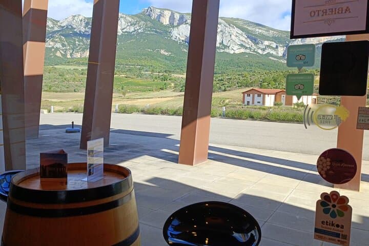 Full Rioja Wine Tour with Lunch from Bilbao - Private Tour
