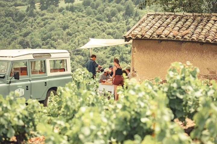 Private Half Day Wine Tour from Lyon in Beaujolais