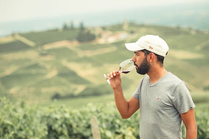 Lyon: Private Burgundy Half Day Wine Tour by Vintage Land Rover
