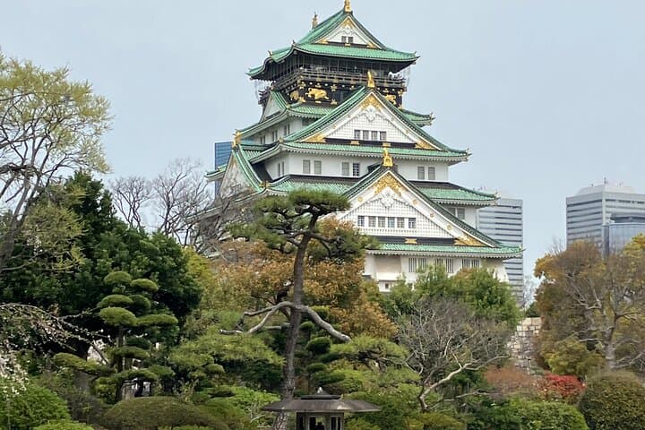 Private Osaka Tour from Your Hotel with Local Guide