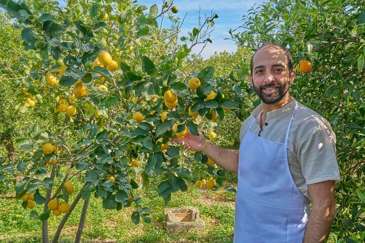 Cooking class in a villa with Palermo view