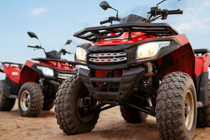 Dubai Desert Safari: with Camel Ride, live entertainment and bbq