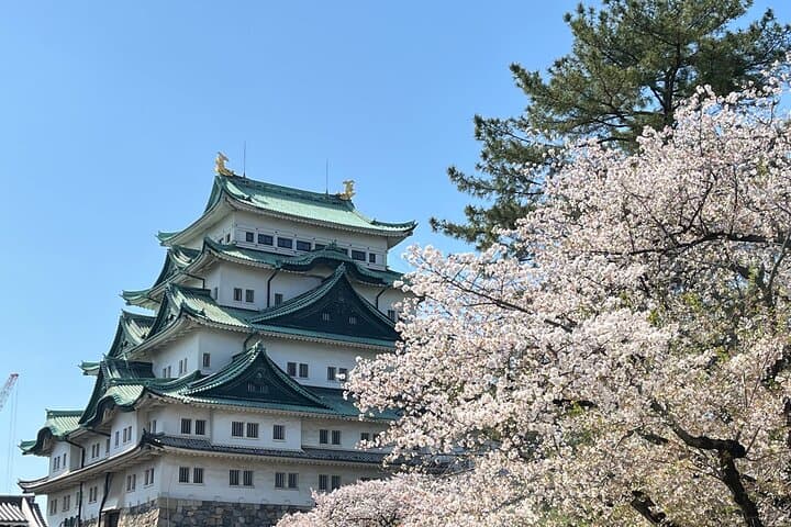 Step back in time 400 years with a visit to Nagoya Castle