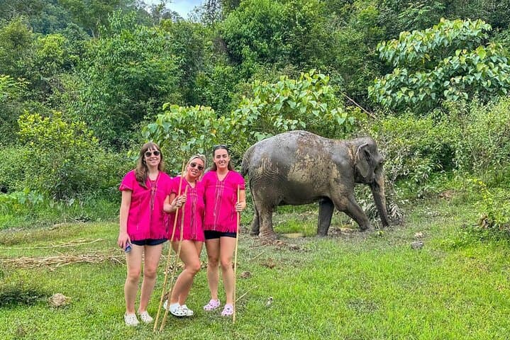Get free pictures from our professional photographers while observing the elephants