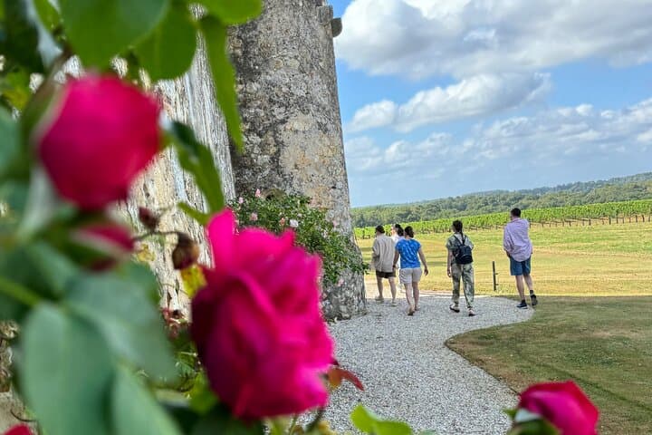 Half-Day E-Bike Tour In Entre-Deux-Mers W/ Wine tasting & Lunch