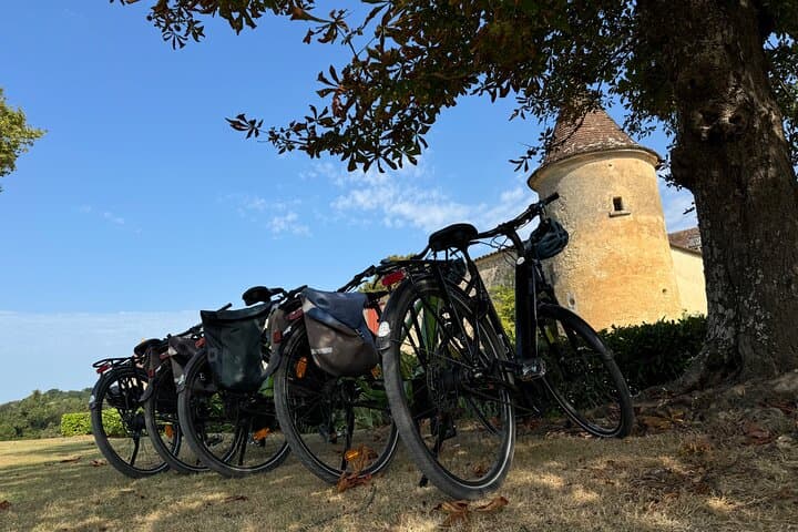 Half-Day E-Bike Tour In Entre-Deux-Mers W/ Wine tasting & Lunch