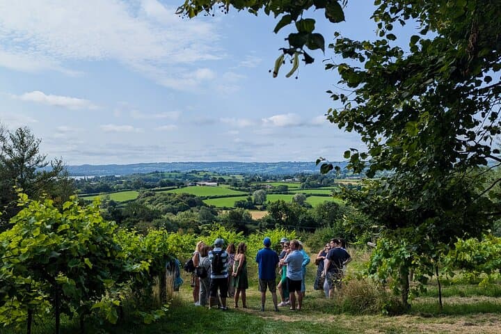 Wine & Cheese in the Somerset Valleys - with Michelin-star lunch!
