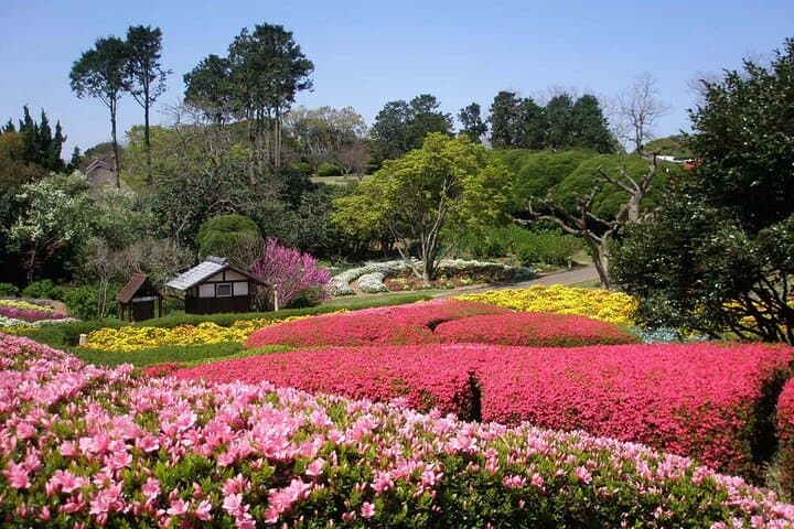 Flower Covered Hills