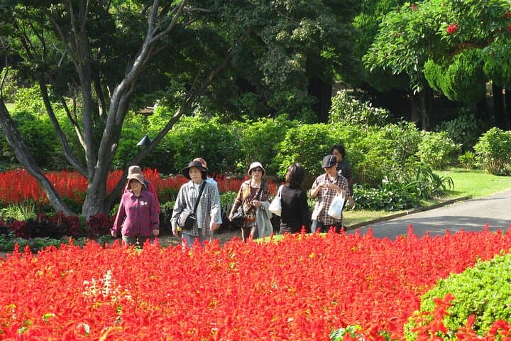 Red carpet
