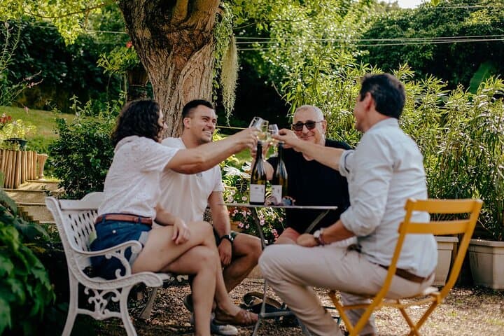 Lyon: Private Burgundy Half Day Wine Tour by Vintage Land Rover