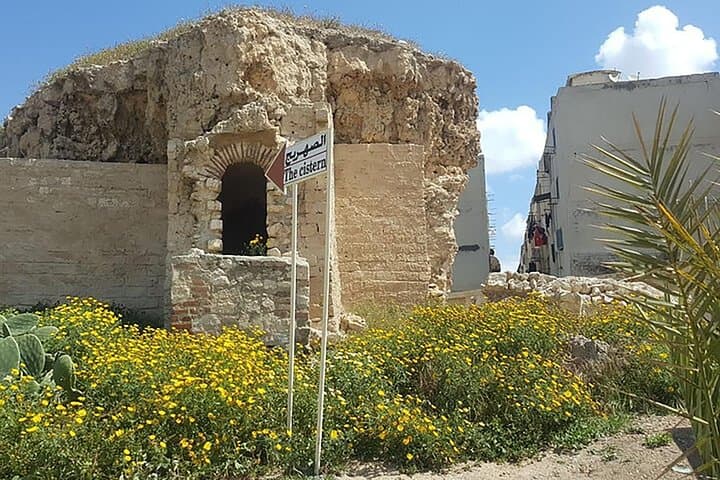 Private Alexandria Tour with Local Guide