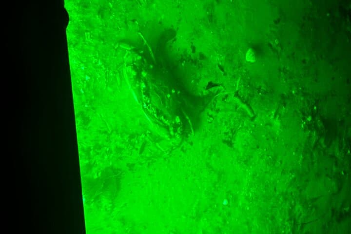 Guided Glow LED Kayak Sunset Activity in Bonita Springs