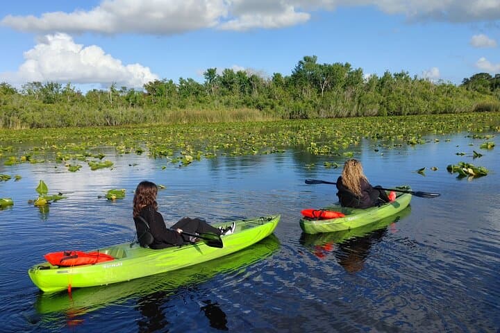 Guided Kayaking Manatee Tour near Orlando
