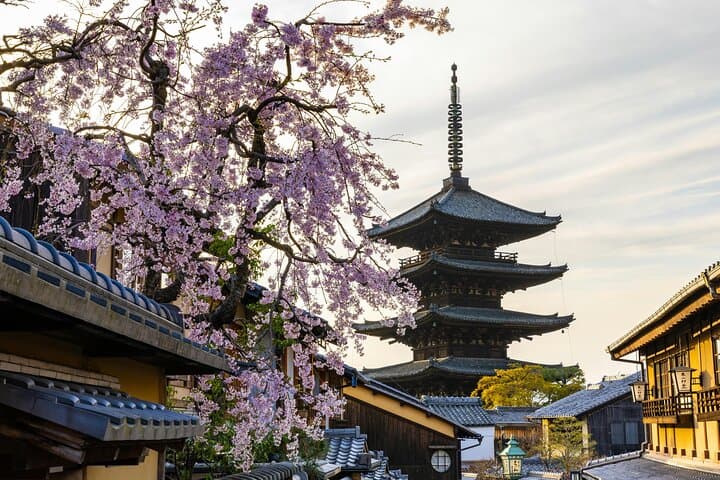 Kyoto Gion Early Morning Walking Tour