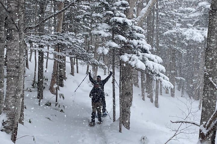 Sapporo dake lower trail.