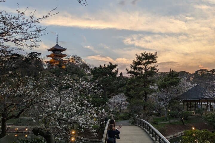 Cherry Blossom Week !
