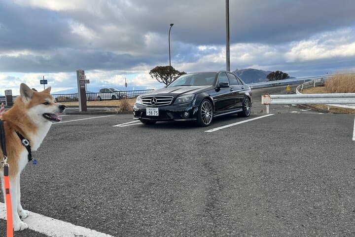 Private Daikoku Parking Area, Hakone turn Pike, Umihotaru Tours