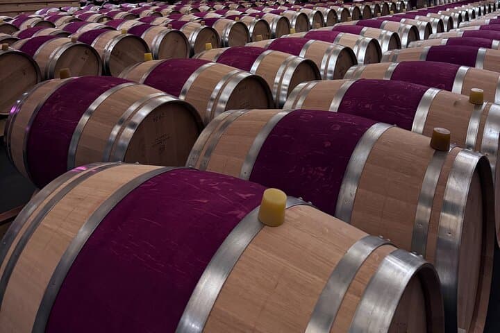 Wine Tour of Mèdoc : Châteaux, Tastings and WSET Guide