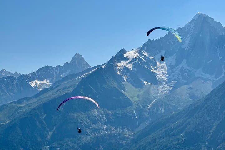 Family flight