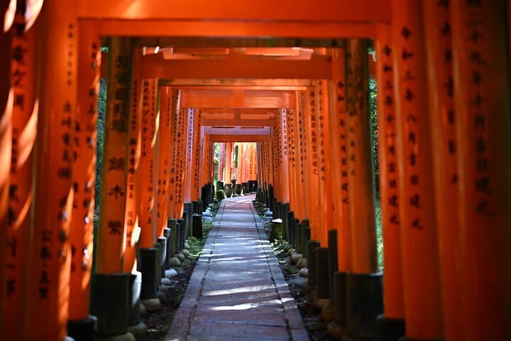 Kyoto Private Car Tour with Optional Nara or Osaka Add-Ons