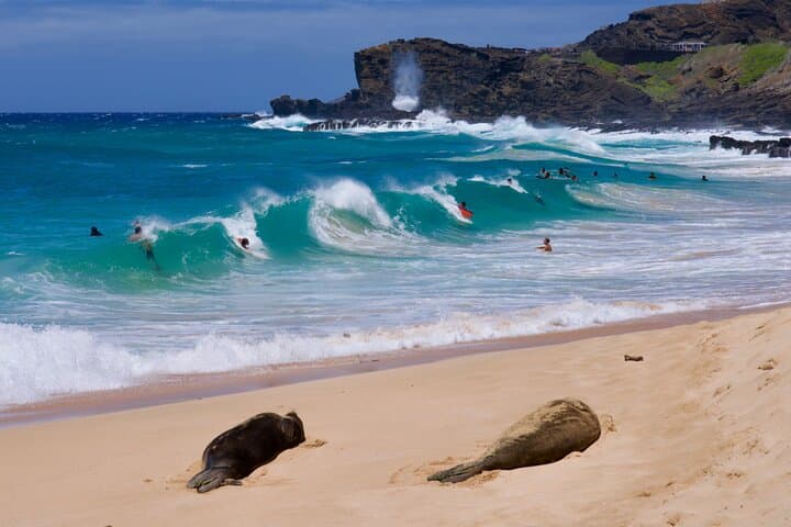Private Oahu Tour Customizable
