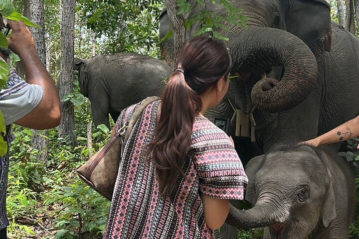 Chiang Mai 1 Day: Elephant Sanctuary, Waterfall & Bamboo Rafting