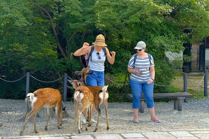 Nara: Half-Day Private Tour of 4 Must-See Spots & Deer Park